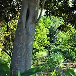아파트 Al Vico Dei Limoni *