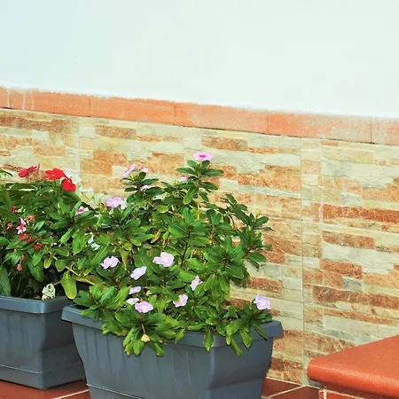 Al Vico Dei Limoni Apartment *