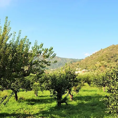 Al Vico Dei Limoni * Sant'Alessio Siculo
