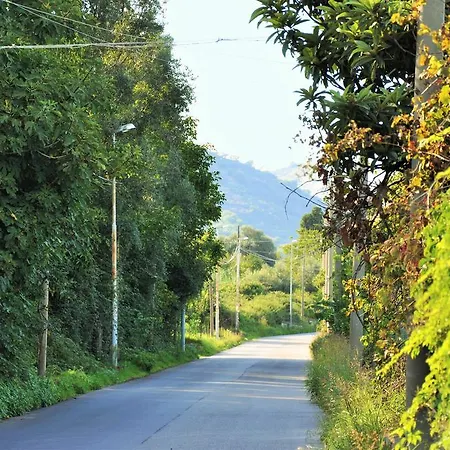 Al Vico Dei Limoni